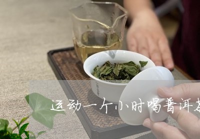 运动一个小时喝普洱茶/2023092736291