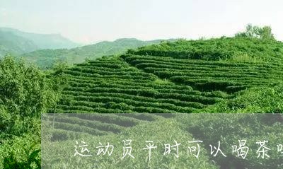 运动员平时可以喝茶吗/2023071576305