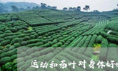 运动和茶叶对身体好吗/2023092341713