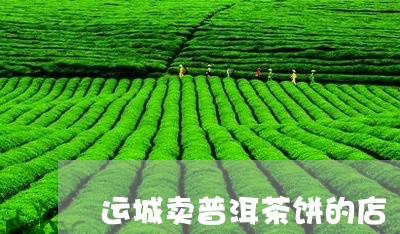 运城卖普洱茶饼的店/2023091562625