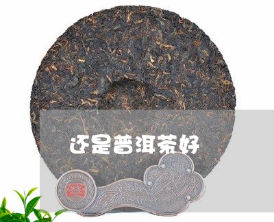 还是普洱茶好/2023042670189