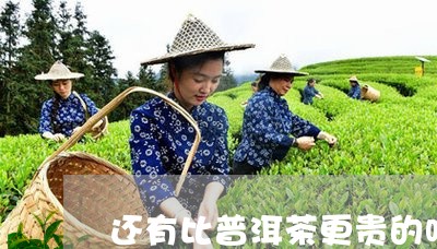 还有比普洱茶更贵的吗/2023092991703