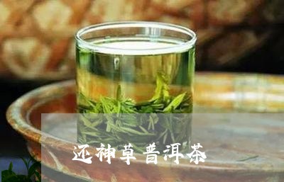 还神草普洱茶/2023042824577