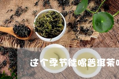 这个季节能喝普洱茶吗/2023072492836