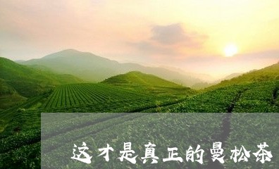 这才是真正的曼松茶/2023042093038