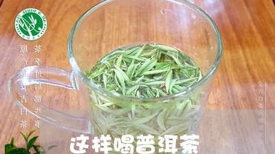 这样喝普洱茶/2023042983805