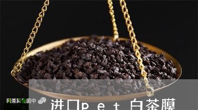 进口pet白茶膜/2023071390505