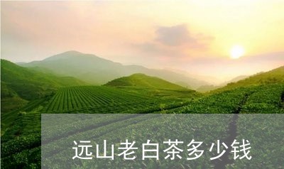 远山老白茶多少钱/2023071303959