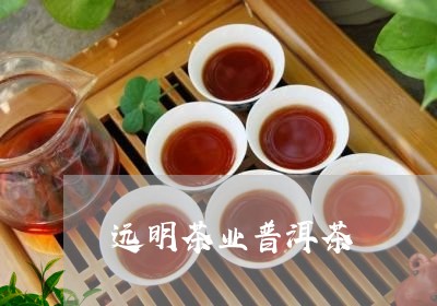 远明茶业普洱茶/2023102623716