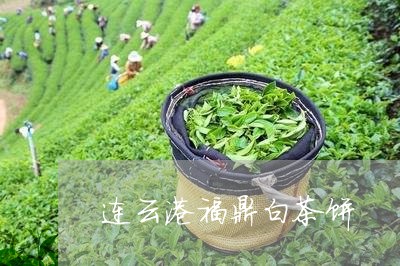 连云港福鼎白茶饼/2023090500595