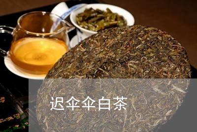 迟伞伞白茶/2023051128451