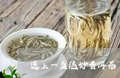 送上一盏绝妙普洱茶/2023110825138