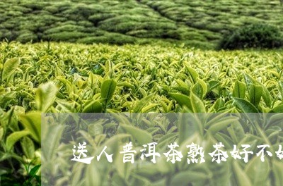 送人普洱茶熟茶好不好呢/2023110864849