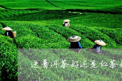 送普洱茶好还是红茶好/2023062305048