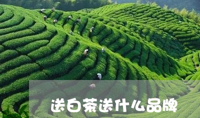 送白茶送什么品牌/2023071328472