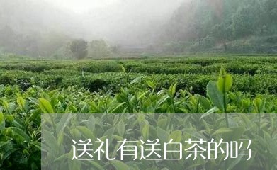 送礼有送白茶的吗/2023071336369