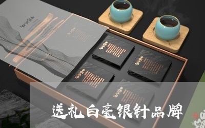 送礼白毫银针品牌/2023071303916