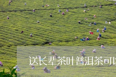 送长辈茶叶普洱茶可以吗/2023082723926