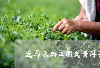 送马来西亚朋友普洱茶/2023062333959