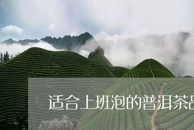 适合上班泡的普洱茶品种/2023110193937