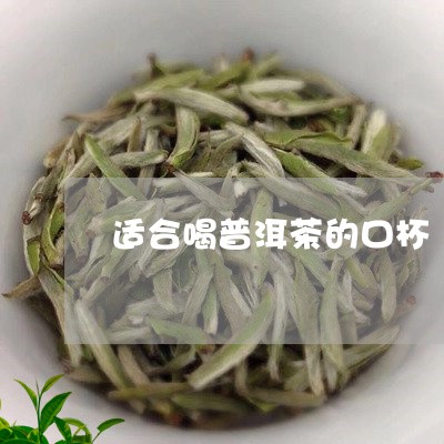 适合喝普洱茶的口杯/2023081623925