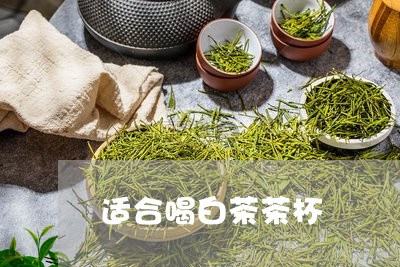 适合喝白茶茶杯/2023061171414