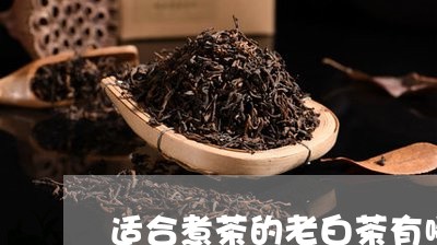 适合煮茶的老白茶有哪些/2023082635169