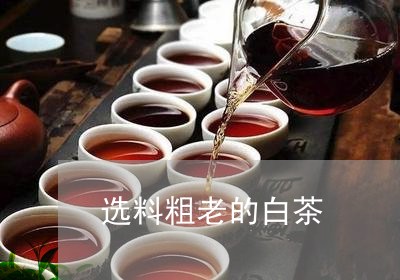 选料粗老的白茶/2023061170372