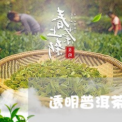 透明普洱茶包装袋图片高清/2023112590515