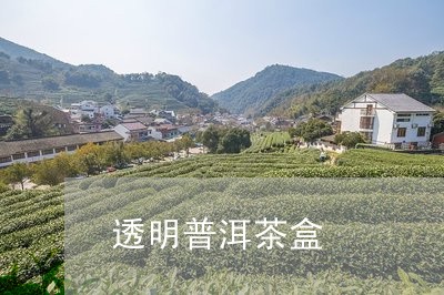 透明普洱茶盒/2023042669215