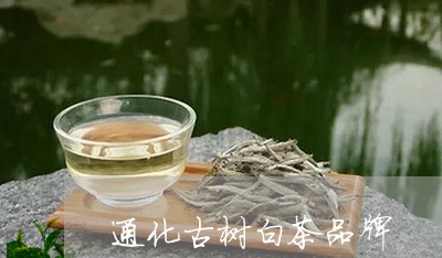 通化古树白茶品牌/2023071382036