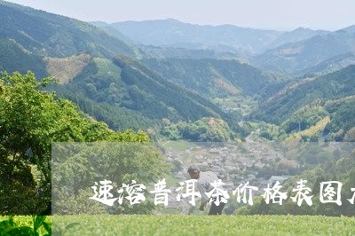 速溶普洱茶价格表图大全/2023050656928