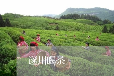 遂川喝茶/2023121979471