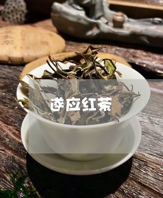 遂应红茶/2023110947060