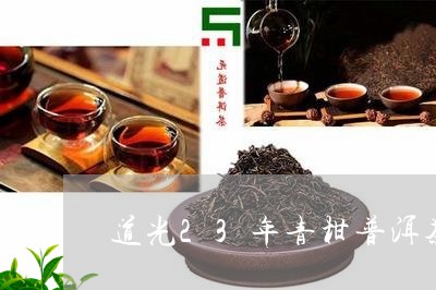 道光23年青柑普洱茶/2023072252704