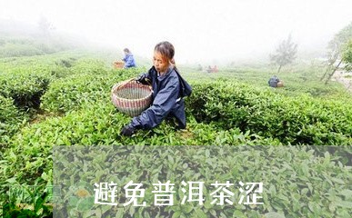 避免普洱茶涩/2023042745534