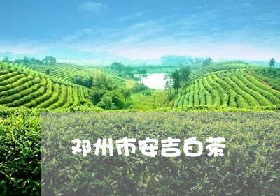 邓州市安吉白茶/2023061178593