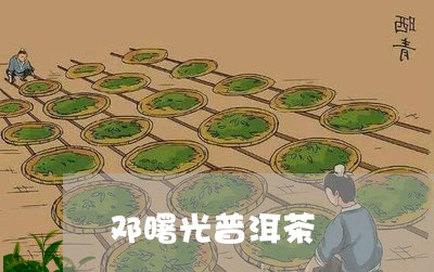 邓曙光普洱茶/2023042752243