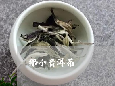 那个普洱茶/2023090504836