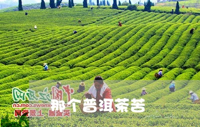 那个普洱茶苦/2023042866538