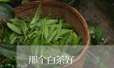 那个白茶好/2023051136151