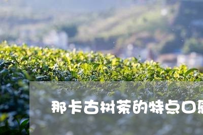 那卡古树茶的特点口感茶饼图片大全/2023060494159