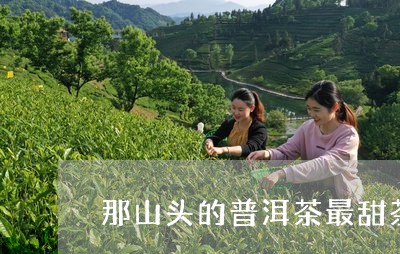 那山头的普洱茶最甜茶/2023080314937