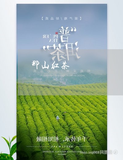 那山红茶/2023090254960