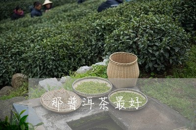 那普洱茶最好/2023042926218