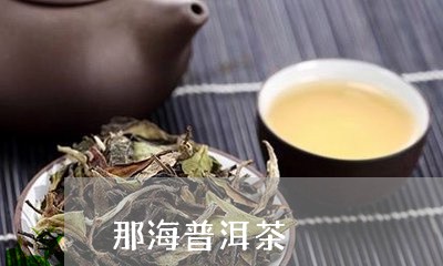 那海普洱茶/2023102546269