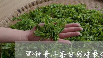 那种普洱茶甘甜味最强/2023062487169