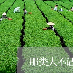 那类人不适合喝普洱茶/2023092663725