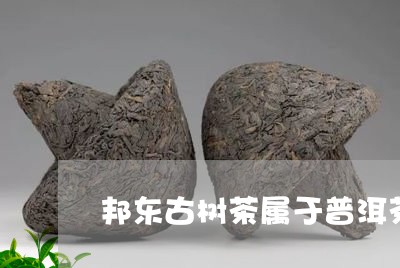 邦东古树茶属于普洱茶/2023062394179