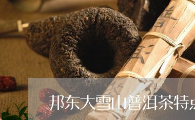 邦东大雪山普洱茶特点野韵/2023102558292